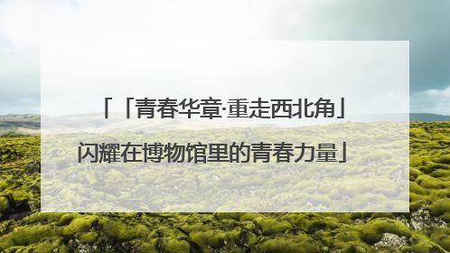 「青春华章·重走西北角」闪耀在博物馆里的青春力量